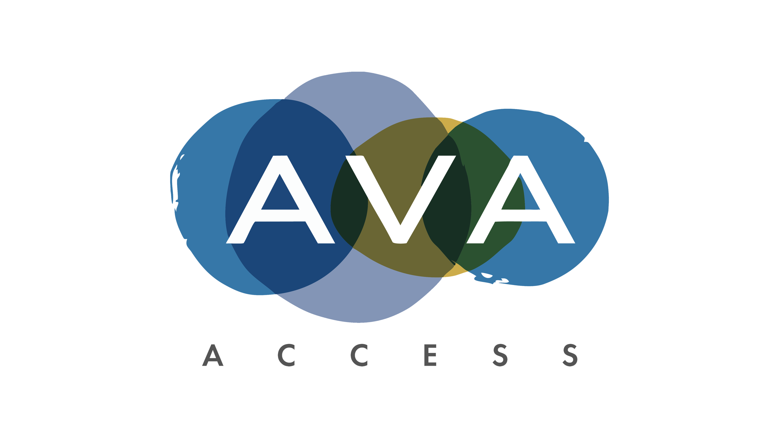 AVT Plugin — AVA Access